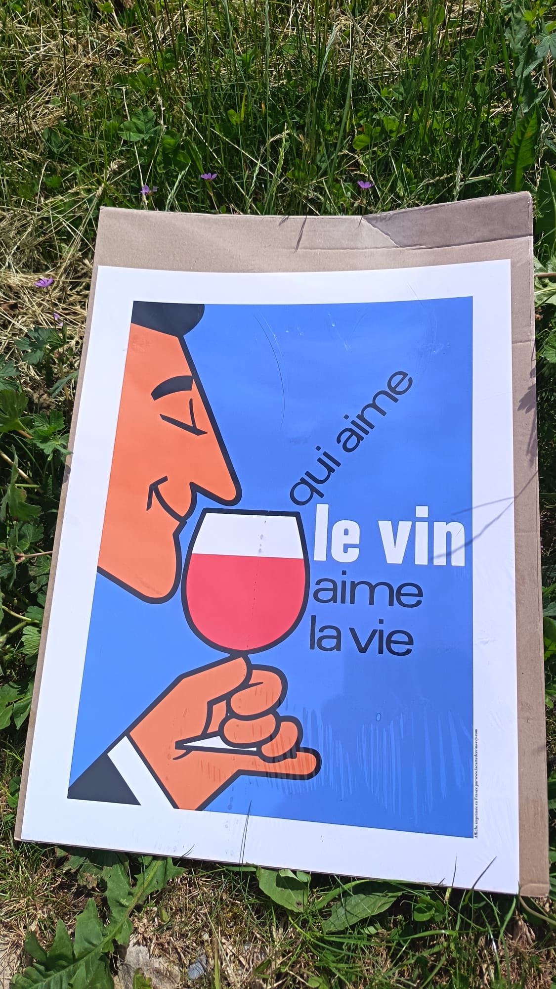 Affiche Humour Vin 30x40cm
