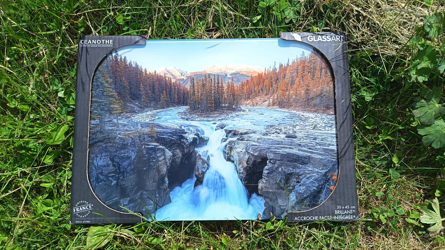Tableau sur verre Evasion naturelle