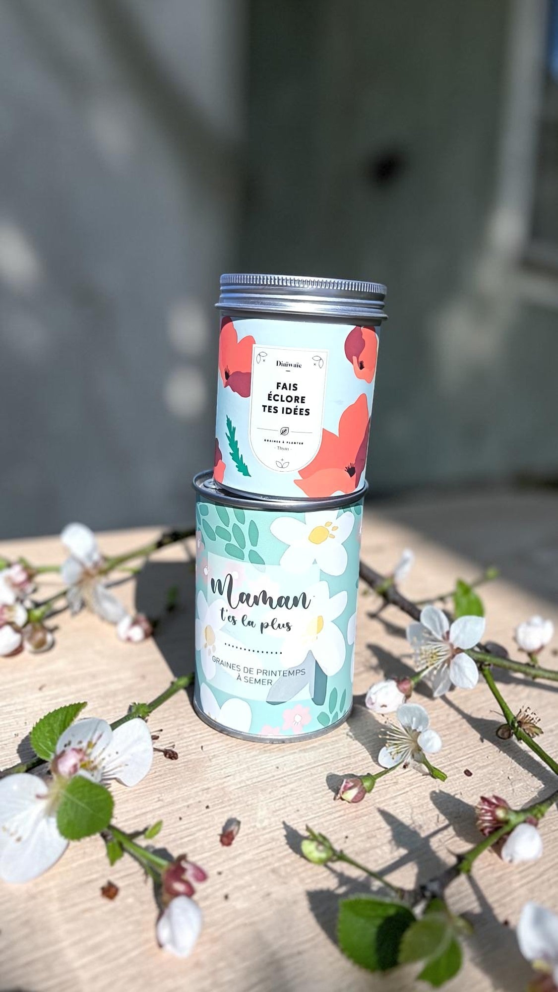 Kit de graines à semer