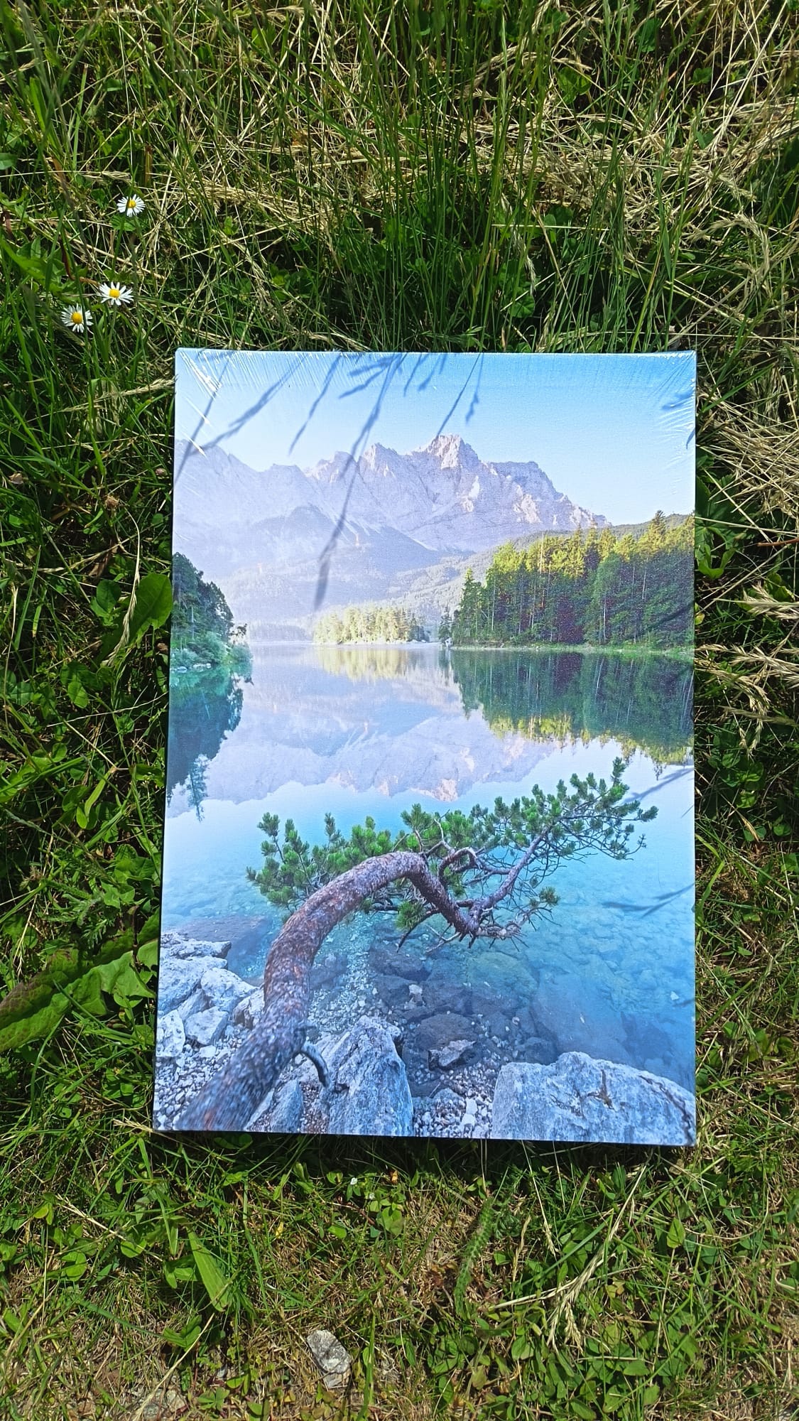 Tableau sur toile Branche Sur le Lac